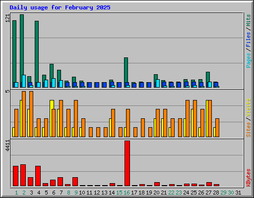 Daily usage for February 2025
