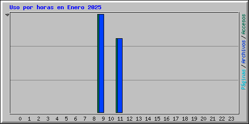 Uso por horas en Enero 2025