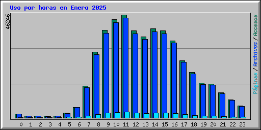 Uso por horas en Enero 2025