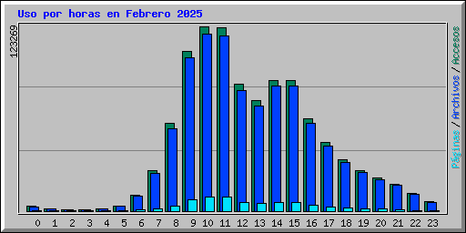 Uso por horas en Febrero 2025