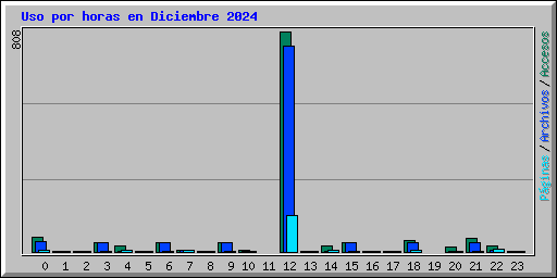 Uso por horas en Diciembre 2024