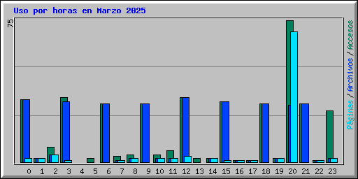 Uso por horas en Marzo 2025