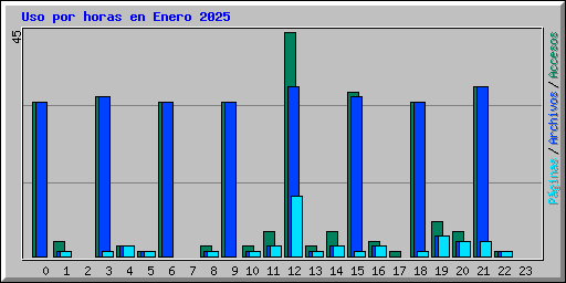Uso por horas en Enero 2025