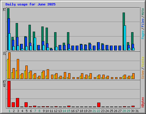 Daily usage for June 2025