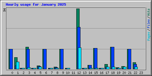 Hourly usage for January 2025