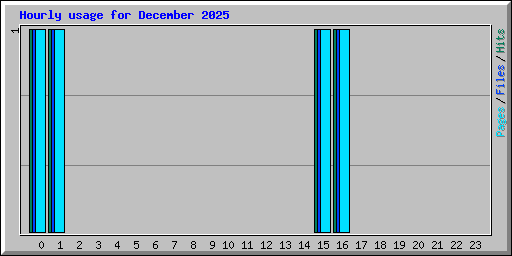 Hourly usage for December 2025