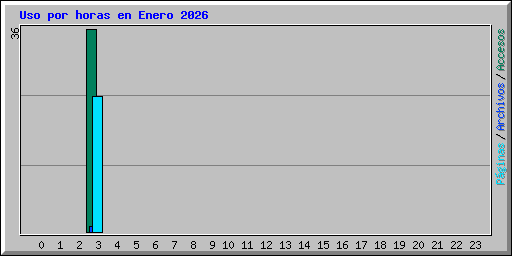 Uso por horas en Enero 2026