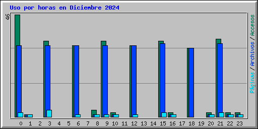 Uso por horas en Diciembre 2024
