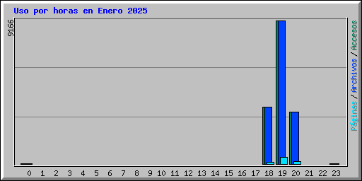 Uso por horas en Enero 2025