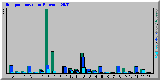 Uso por horas en Febrero 2025