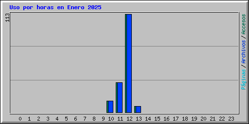 Uso por horas en Enero 2025