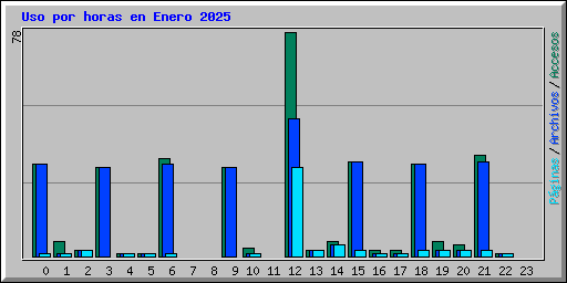 Uso por horas en Enero 2025
