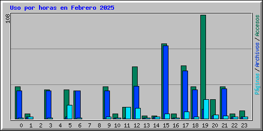 Uso por horas en Febrero 2025