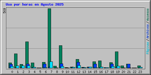 Uso por horas en Agosto 2025