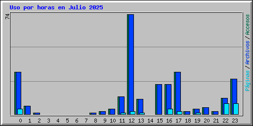 Uso por horas en Julio 2025