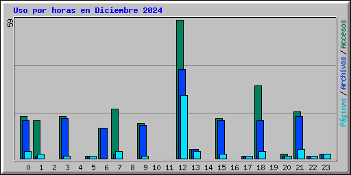 Uso por horas en Diciembre 2024