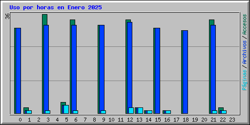 Uso por horas en Enero 2025
